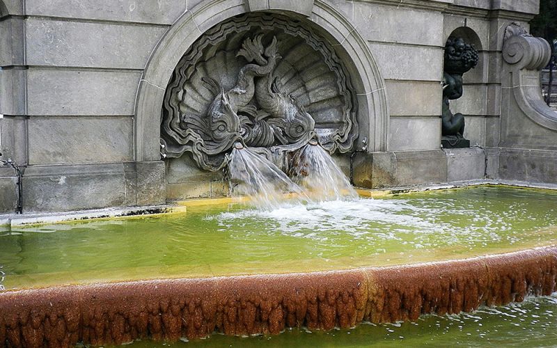 Las fuentes y alcantarillas influyen en la presencia de mosquitos en áreas urbanas