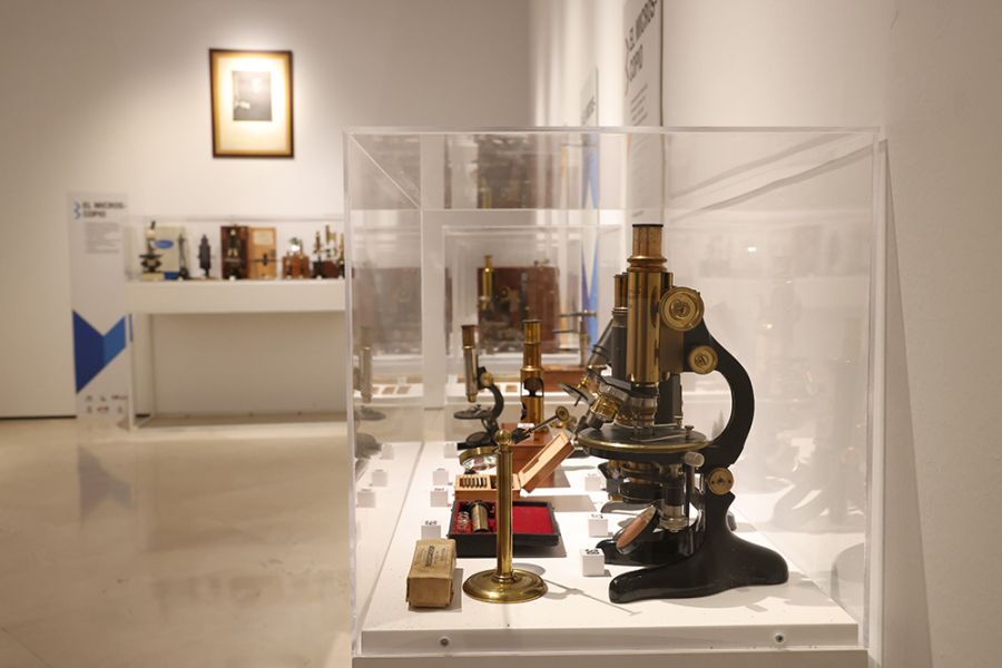 La Diputación colabora con la SEAP para traer a Málaga la exposición ‘Luz y microscopía’
