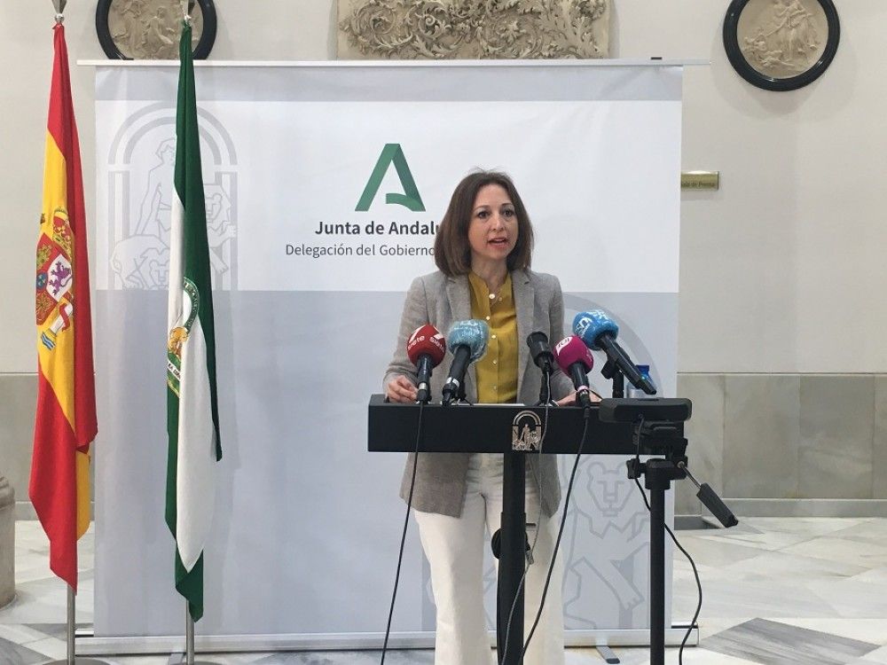 Patricia Navarro destaca que el decreto de  modernización del taxi contribuirá a reforzar el sector turístico de Málaga