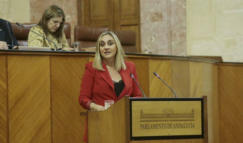 La Junta anima a los vecinos a aprovechar el Plan Ecovivienda para rehabilitar sus edificios