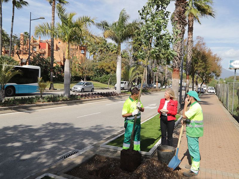El Ayuntamiento concluye el ajardinamiento y la renovación de la red de riego de la avenida Príncipe Salman de Nueva Andalucía, que reducirá el consumo de agua en torno a un 50%