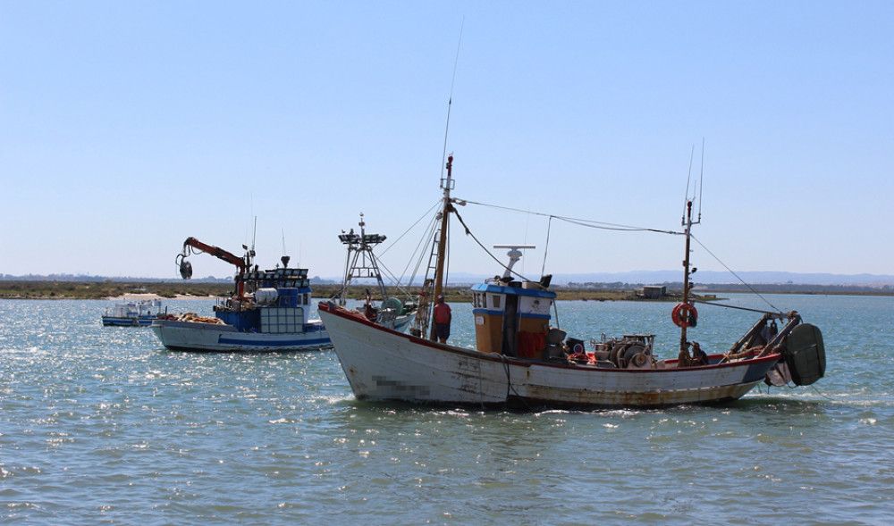 Andalucía convoca nuevas ayudas por la paralización temporal de la actividad pesquera