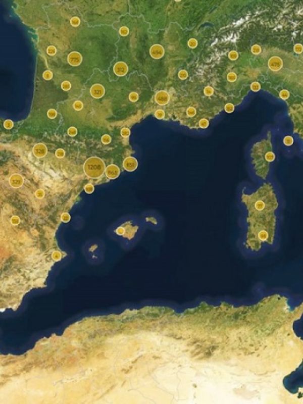 El proyecto Petrifying Wealth’ publica en abierto un visor cartográfico con más de 17.000 construcciones medievales