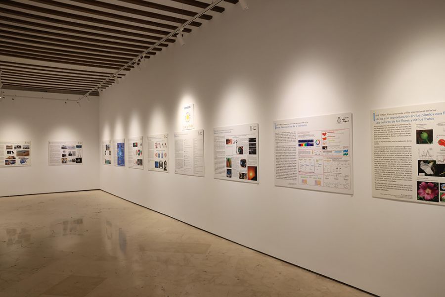 La Diputación colabora con la SEAP para traer a Málaga la exposición ‘Luz y microscopía’