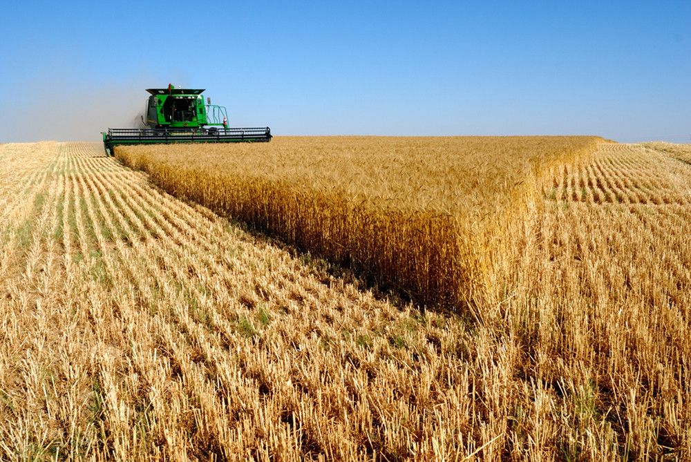 El Ministerio de Agricultura, Pesca y Alimentación convoca las ayudas del Plan Renove de maquinaria agrícola 2022