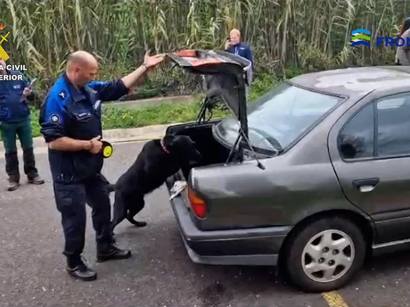 Un agente de la Guardia Civil será asesor de Frontex para el adiestramiento de perros