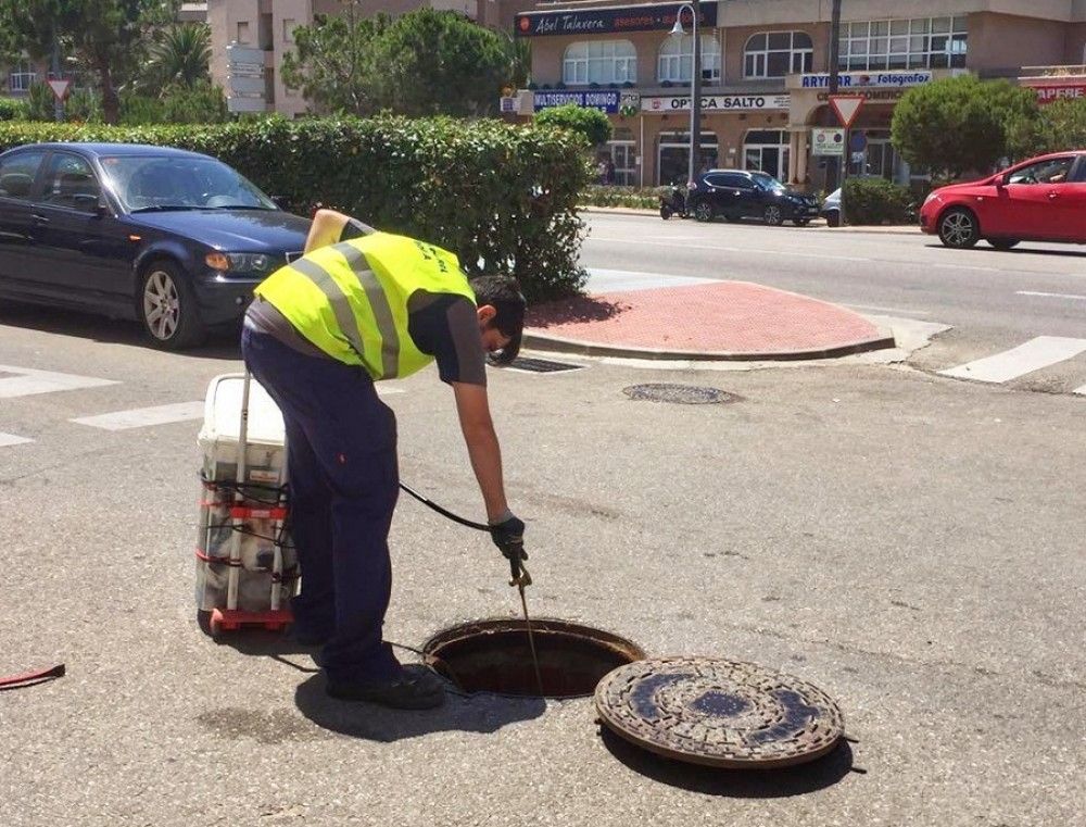 Torrox culminará su campaña de desinsectación del municipio con la actuación contra el mosquito tigre