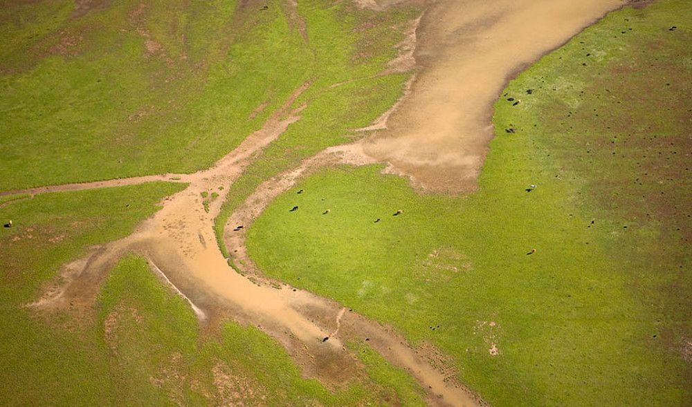 La ministra de Transición Ecológica expone el informe de situación del Parque Nacional de Doñana