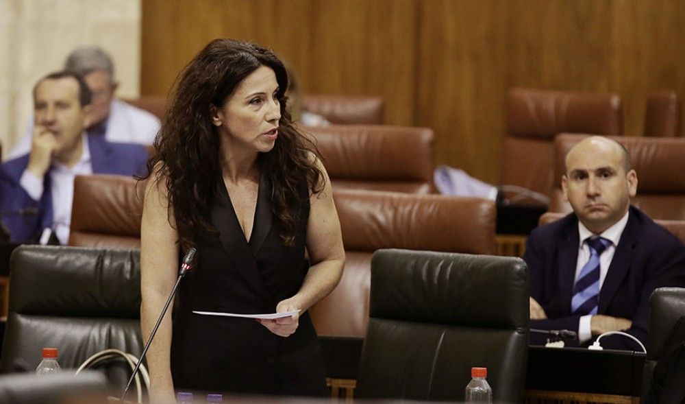 Andalucía tendrá que cambiar el marco legal de la Renta Mínima para hacerla compatible con el Ingreso Mínimo estatal