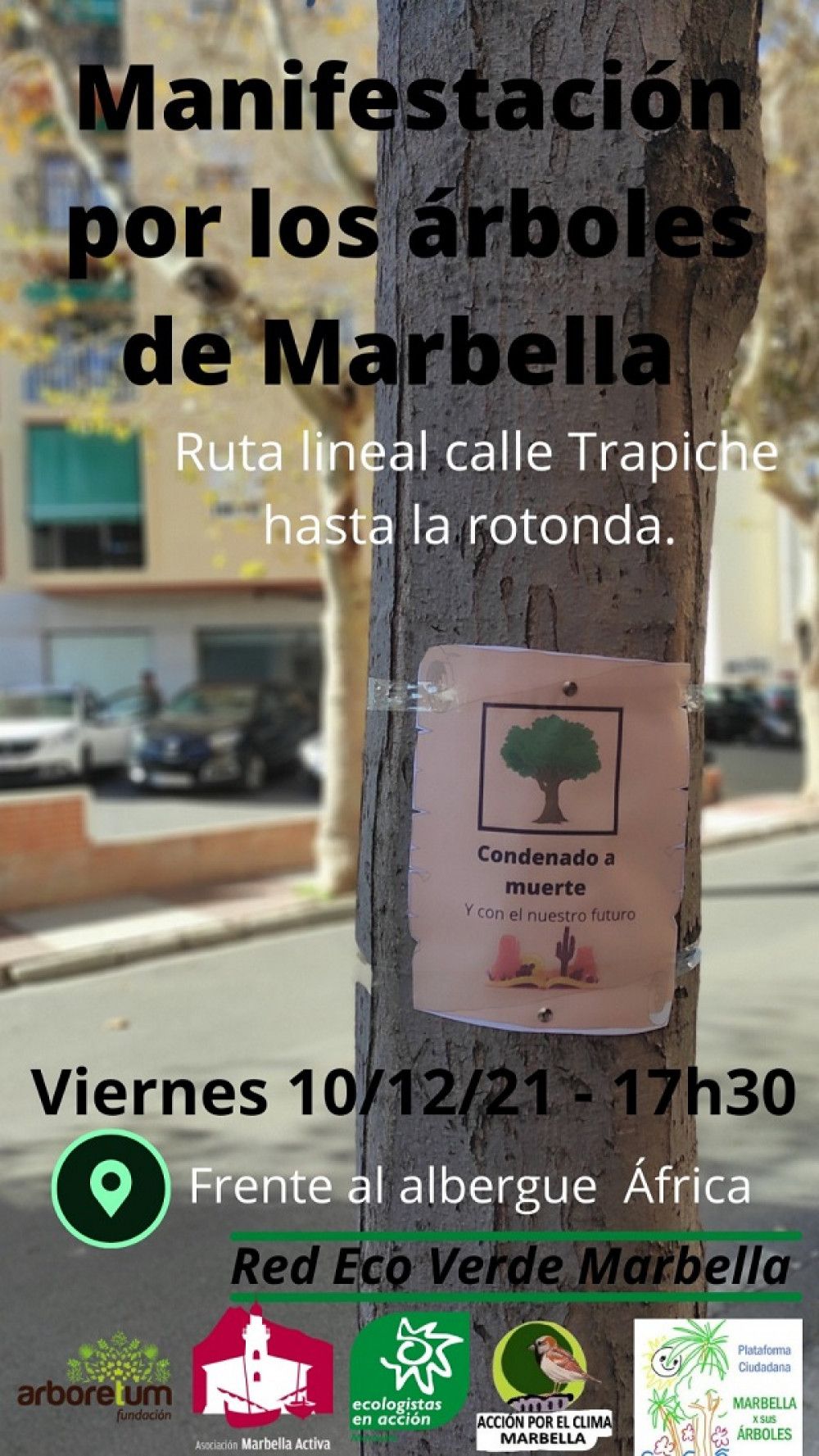 Convocada mañana una manifestación en protesta por la tala de árboles en la Avenida del Trapiche
