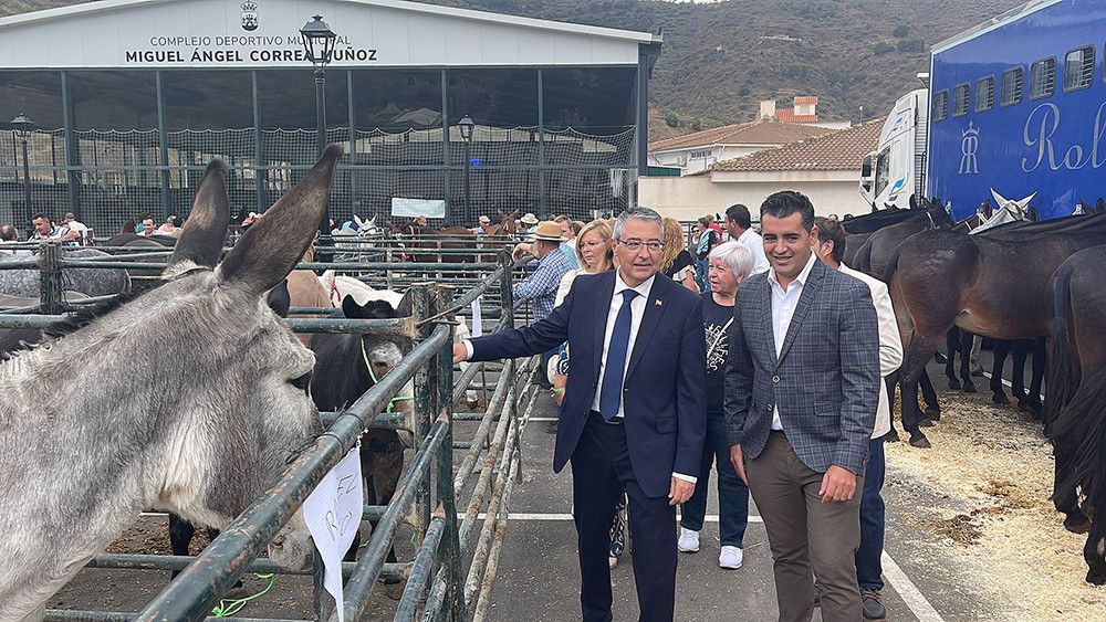 Arenas celebra la Feria de la Mula, Fiesta de Singularidad Turística, con la visita de más de 4.000 personas