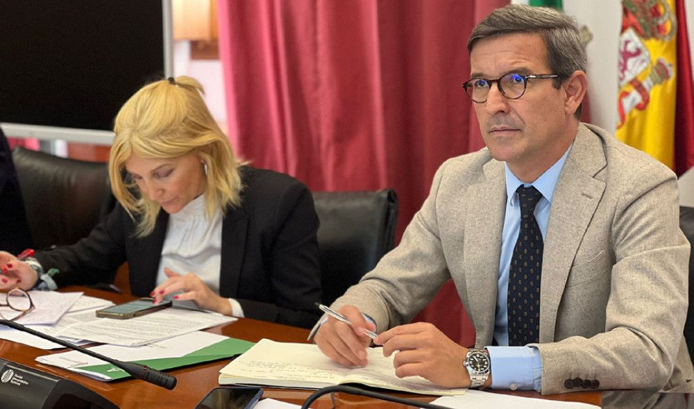 Andalucía pide al Gobierno central ayudas directas para empresas industriales afectadas por el incremento de los precios de la energía