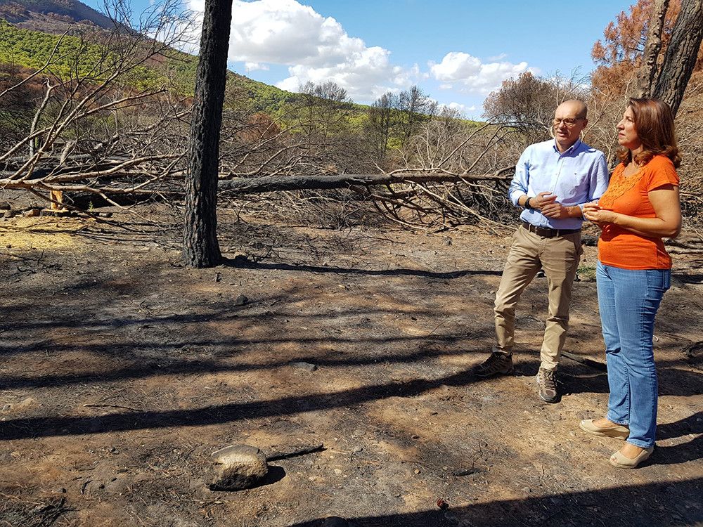 La Junta inicia las obras de emergencia para la regeneración de la Sierra de Mijas
