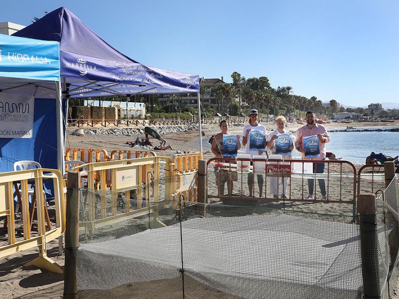 Juventud pone en marcha una campaña para aumentar el número de voluntarios que custodien el nido de la tortuga boba de Puerto Banús