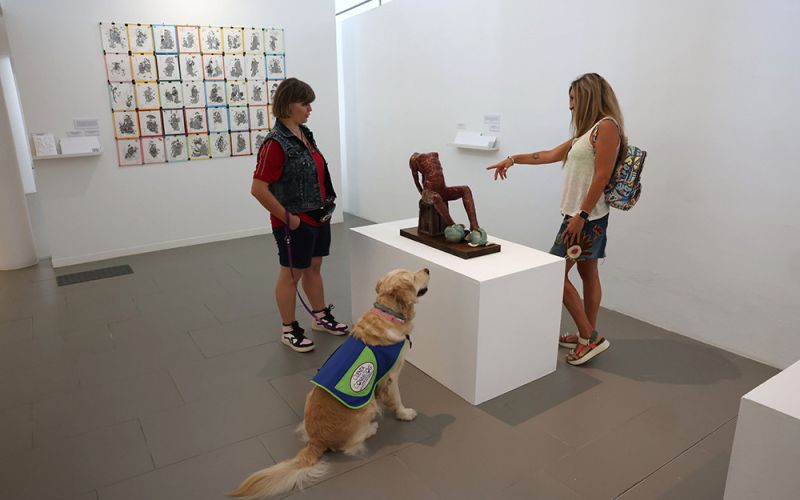 La Diputación de Málaga acoge una nueva exposición de Museo de los Sentidos con obras adaptadas a personas con diversidad sensorial