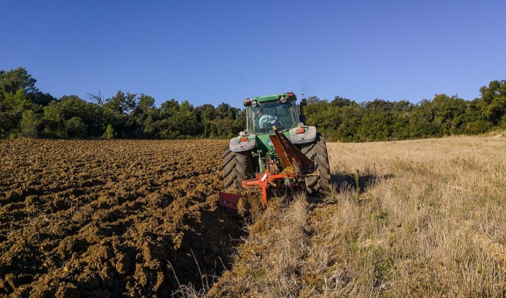 La Junta activa una línea de préstamos para los agricultores andaluces sin necesidad de avales