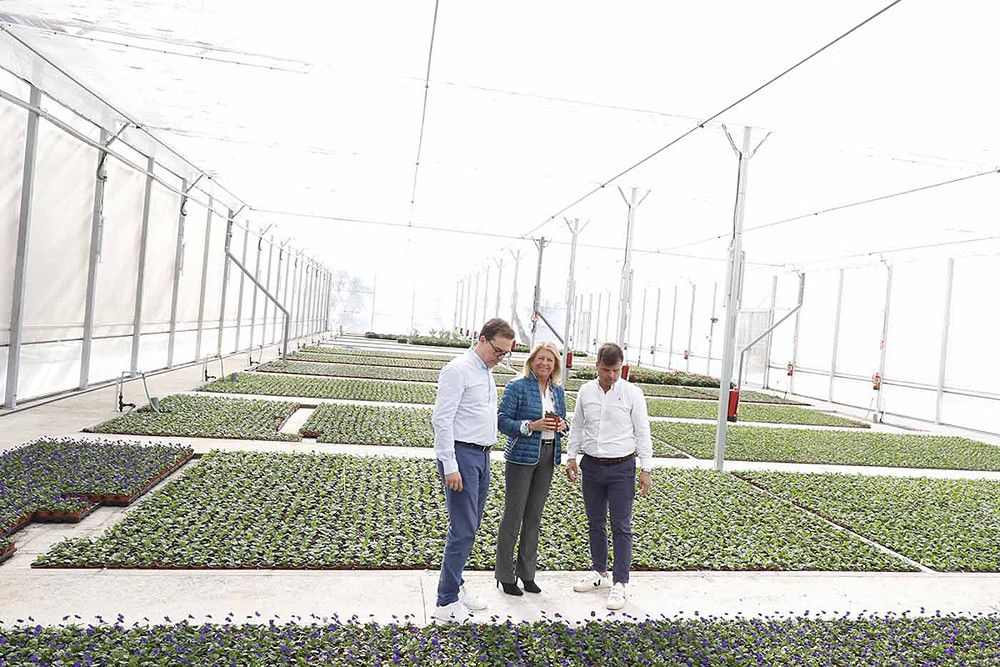 El vivero municipal de Las Chapas ha producido más de 70.000 ejemplares desde su entrada en funcionamiento