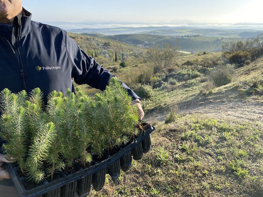 Casi un centenar de alamedanos participa en la tercera plantación del programa Banco de Terrenos de la Diputación de Málaga