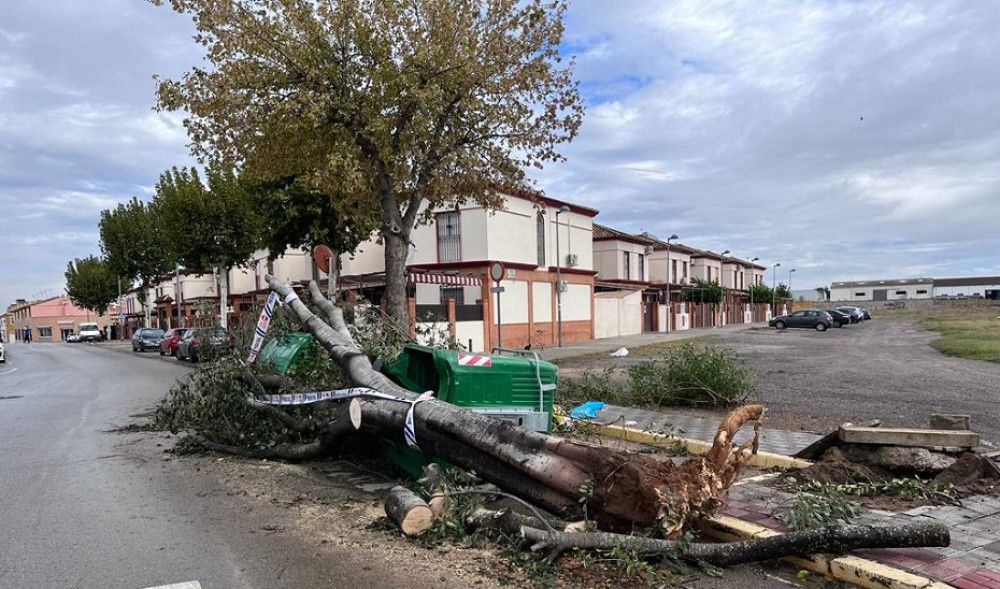 El 112 atiende más de 700 incidencias por el temporal de viento entre las 7.00 y las 13.00 horas