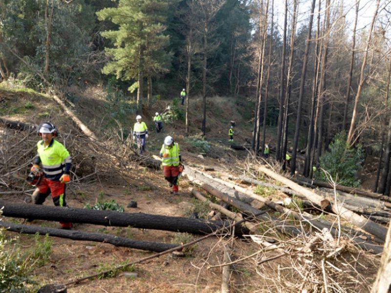 La Junta destina por primera vez más fondos a la prevención que a la extinción de incendios