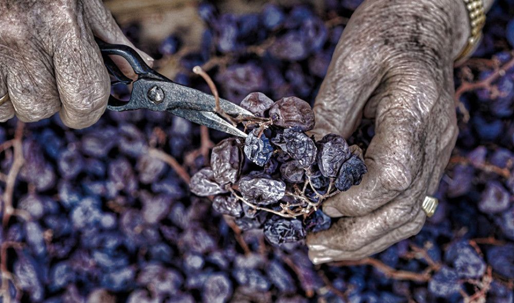 Abonadas las ayudas agroambientales para dar liquidez a unos 20.000 agricultores y ganaderos