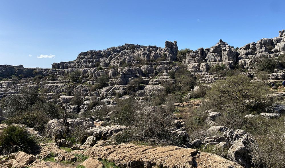 Casi 41.000 escolares han participado en el programa de visitas guiadas a espacios naturales de Andalucía