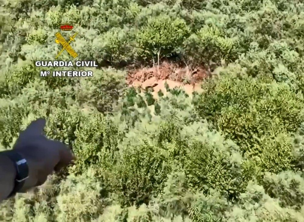 Detenido uno de implicados en el tiroteo a 3 guardias civiles en la Sierra de Cádiz