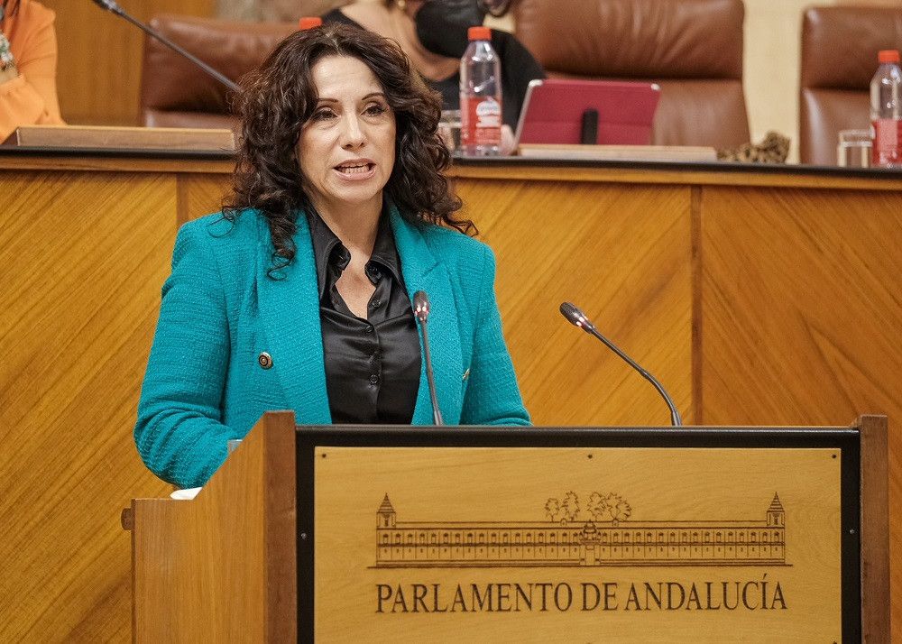 Convalidado el decreto ley de agilización de las condiciones de la Renta Mínima para reducir la lista de espera