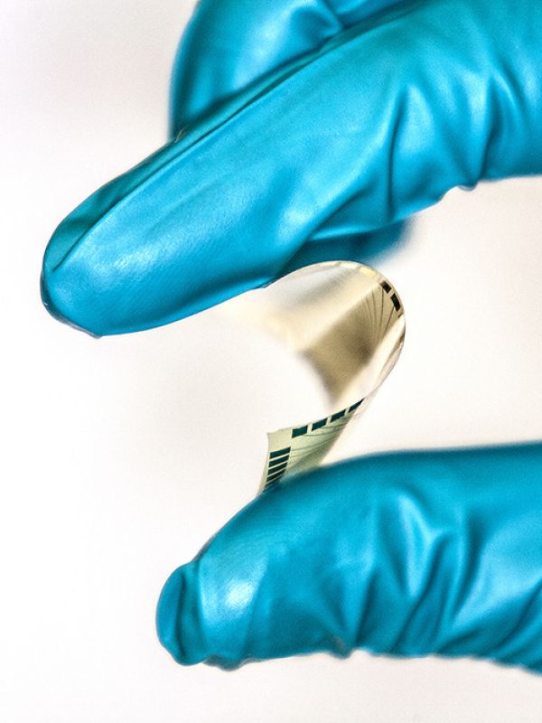 El CSIC presenta los últimos avances en inteligencia artificial y ciencia de datos aplicables a la investigación biológica