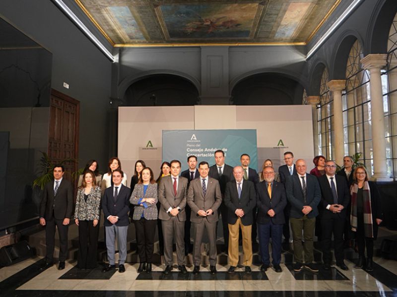 Celebrado en el Palacio de San Telmo el Pleno del Consejo Andaluz de Concertación Local