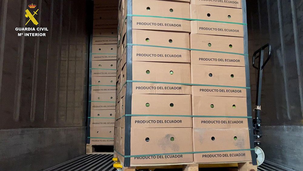 Detenidos por intentar introducir más de 6,5 toneladas de cocaína en contenedores de bananas por el puerto de Algeciras desde Sudamérica