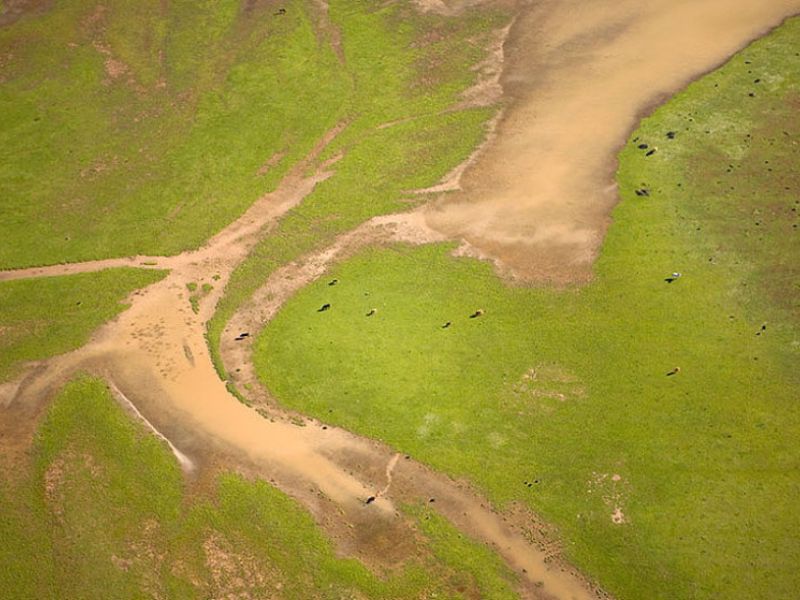 La ministra de Transición Ecológica expone el informe de situación del Parque Nacional de Doñana