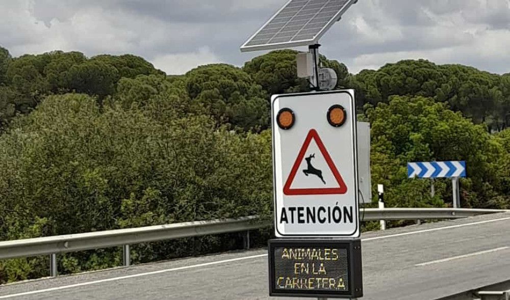 Instalados en varias carreteras andaluzas dispositivos para evitar el atropello de animales