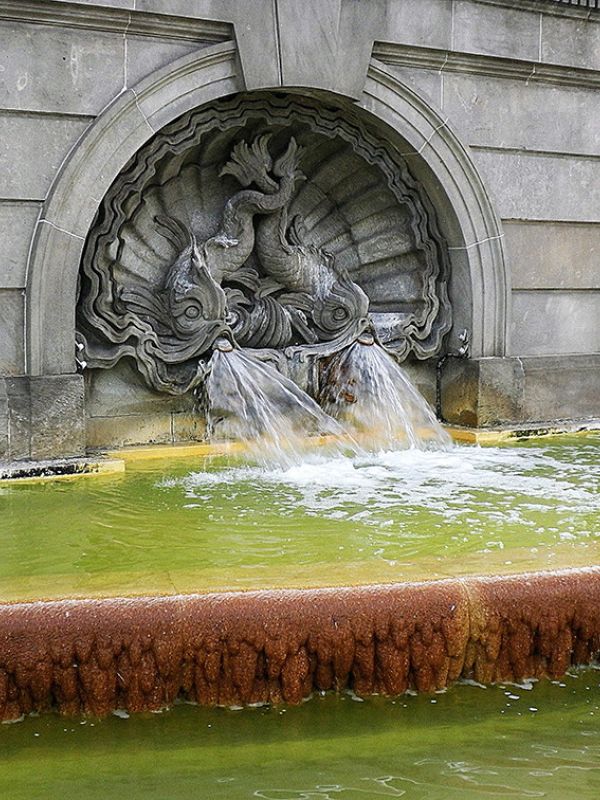 Las fuentes y alcantarillas influyen en la presencia de mosquitos en áreas urbanas