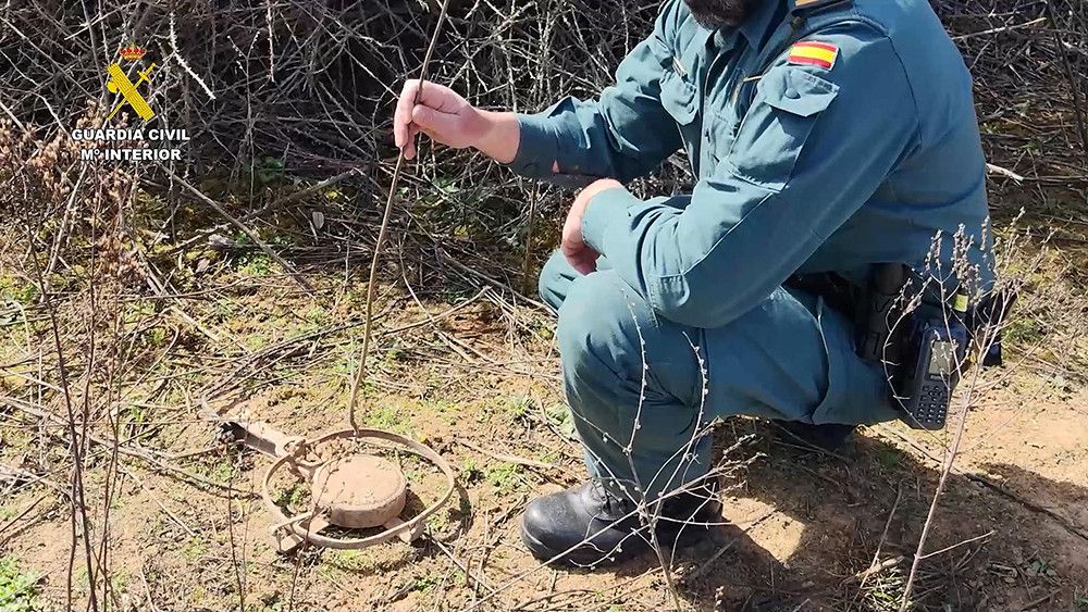 En lo que llevamos de año la Guardia Civil ha realizado 919 actuaciones penales por delitos contra los animales