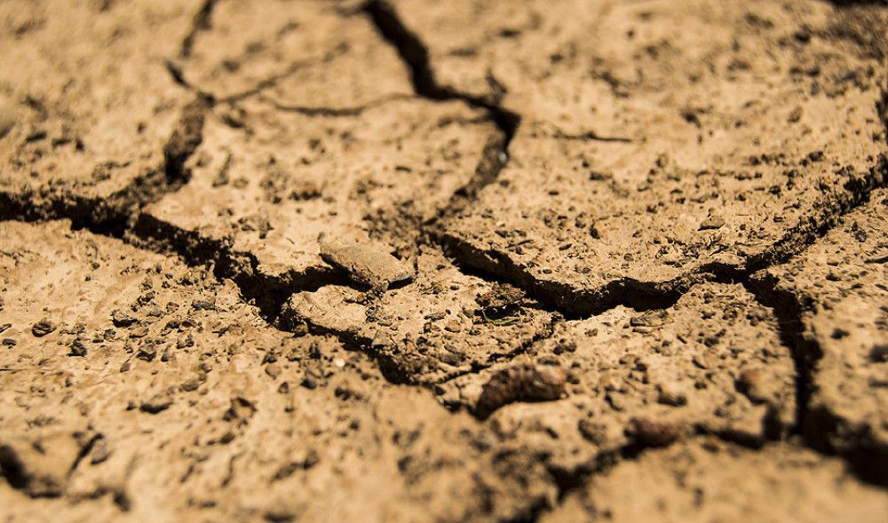 La Junta convoca ayudas por 8 millones para desarrollar soluciones innovadoras frente a la sequía