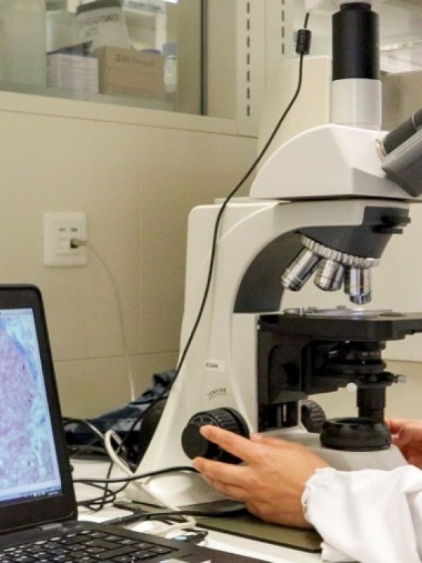 Desarrollado un nanomedicamento eficaz para tratar una enfermedad rara genética