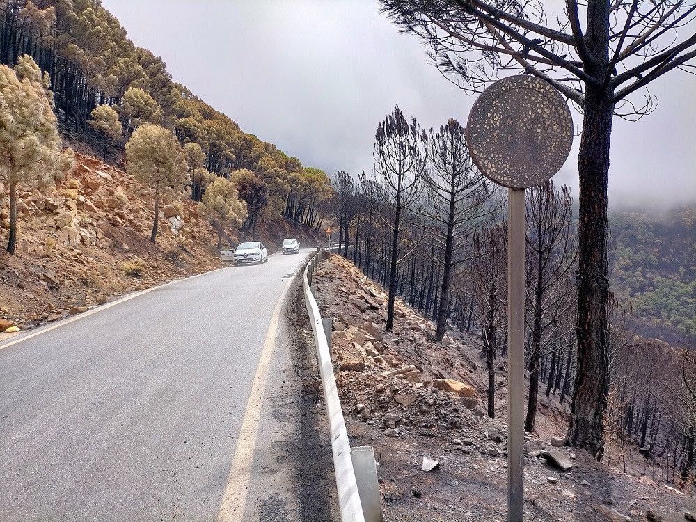 La Diputación pone en marcha el arreglo de las carreteras provinciales afectadas por el incendio de Sierra Bermeja