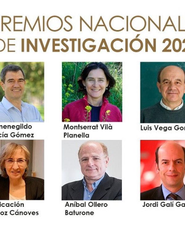 El Ministerio de Ciencia e Innovación otorga las diez modalidades de los Premios Nacionales de Investigación 2021