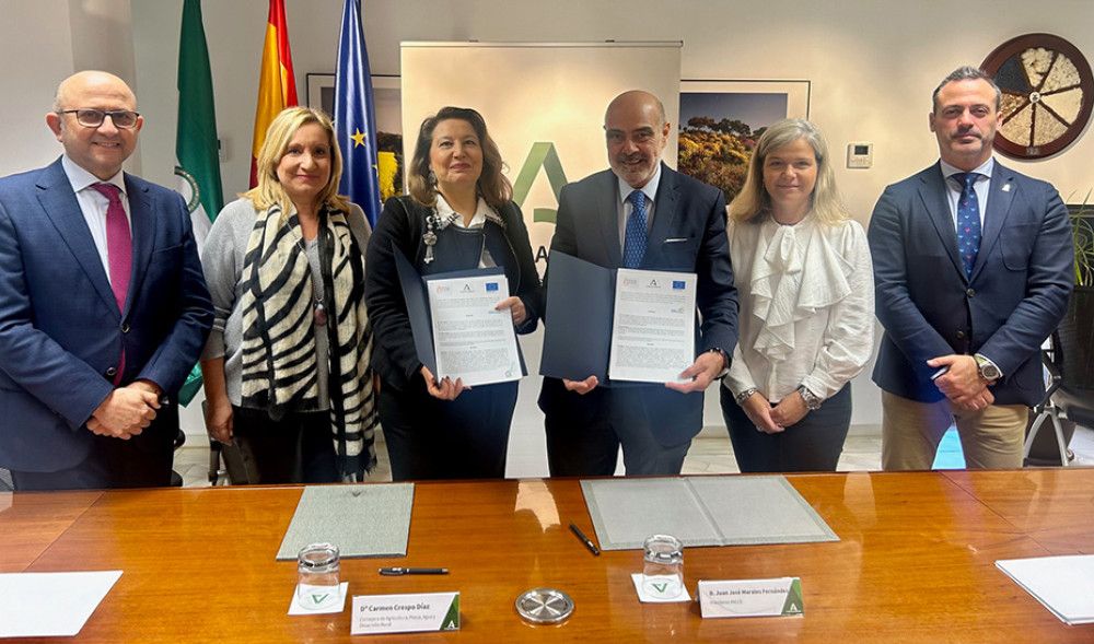 Junta y Ancce se unen para impulsar la mejora genética de los caballos de Pura Raza española