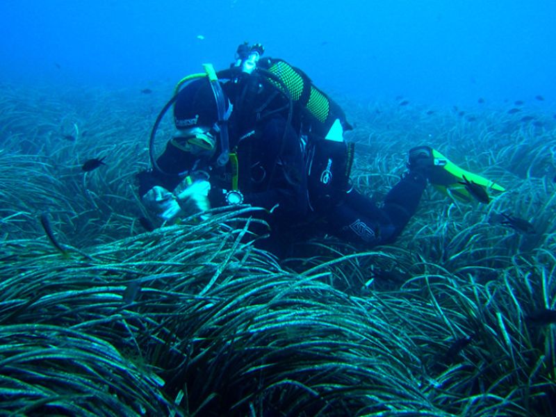 La Consejería de Universidad convoca ayudas por 9,7 millones para desarrollar proyectos de I+D+I en ciencias marinas