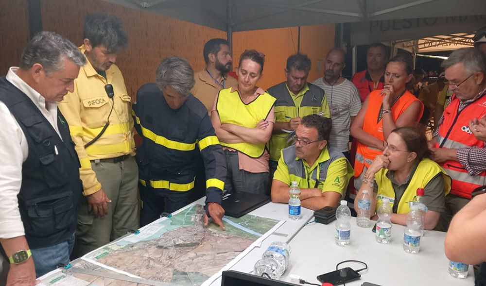 Ayer por la noche quedó estabilizado el incendio forestal de Puerto Real