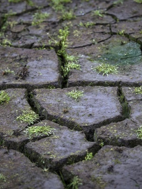 El año 2020 igualó a 2016 como el más caluroso registrado