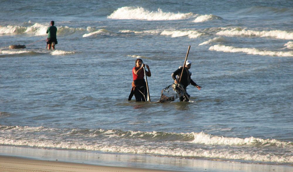 La Junta oferta 19 licencias de marisqueo a pie para captura de coquina en el litoral de Huelva