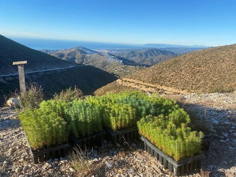 El proyecto Huella Zero de Turismo Costa del Sol compensa más de 12 toneladas de CO2 gracias a dos eventos celebrados en Málaga