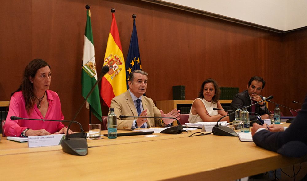 Andalucía activa el protocolo de actuación ante sospecha de sumisión química por objeto punzante