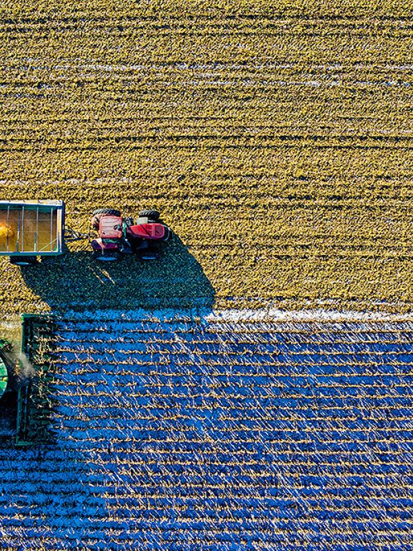 Una nueva plataforma del CSIC mejorará la eficacia socioambiental del sistema agropecuario español
