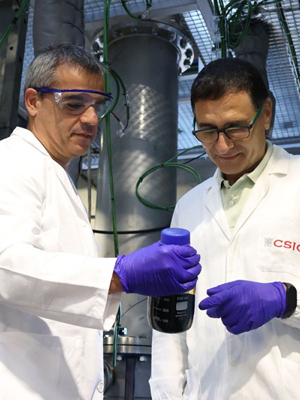 Utilizan energía solar para producir fertilizantes sostenibles y biocombustibles