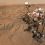 <p style="text-align: justify;">El rover Curiosity de la&nbsp;NASA&nbsp;acaba de alcanzar una cifra que resume la extraordinaria duración de una de las misiones robóticas más importantes de la exploración de Marte: 5.000 días marcianos, o soles, sobre la superficie del planeta rojo.</p>
 
<p style="text-align: justify;">El hito se produjo el 29 de agosto de 2026, más de 5.137 días terrestres después de que Curiosity aterrizara en el cráter Gale. La diferencia se debe a que un día marciano dura aproximadamente 24,6 horas, algo más que un día terrestre.</p>
<p style="text-align: justify;">Desde su llegada a Marte, Curiosity ha estudiado rocas, sedimentos y estructuras geológicas para reconstruir cómo fue el planeta en el pasado y determinar qué condiciones pudieron existir cuando Marte era mucho más húmedo que en la actualidad.</p>
<p style="text-align: justify;">Pero los 5.000 soles no son el único motivo de celebración.</p>
<h3 style="text-align: justify;">Curiosity ya ha ascendido más de un kilómetro</h3>
<p style="text-align: justify;">Durante esta etapa de la misión,&nbsp;Curiosity&nbsp;ha conseguido otro logro especialmente llamativo: ha superado los 1.000 metros de elevación respecto a su lugar de aterrizaje.</p>
<p style="text-align: justify;">El rover se encuentra explorando las laderas del Monte Sharp, una enorme montaña situada en el centro del cráter Gale. Su ascenso permite estudiar capas geológicas situadas a diferentes alturas y, por tanto, materiales que pueden conservar información sobre distintas etapas de la historia ambiental de Marte.</p>
<p style="text-align: justify;">La cifra resulta todavía más impresionante al compararla con la experiencia del rover Spirit. En 2005, Spirit alcanzó la cima de Husband Hill después de ascender unos 106 metros sobre su lugar de aterrizaje. Curiosity ya ha multiplicado esa cifra por más de nueve.</p>
<p style="text-align: justify;">El ascenso del rover no es simplemente una cuestión de distancia recorrida. Cada nuevo nivel del Monte Sharp ofrece la posibilidad de encontrar rocas y sedimentos formados en condiciones diferentes.</p>
<h3 style="text-align: justify;">Una misteriosa formación llamada Chocolatal</h3>
<p style="text-align: justify;">Durante los soles que rodearon este aniversario, Curiosity centró buena parte de su trabajo científico en una curiosa formación de arena bautizada como “Chocolatal”.</p>
<p style="text-align: justify;">Se trata de una estructura larga, estrecha y formada por la acción del viento. Los científicos están estudiando si puede clasificarse como una cresta eólica transversal, conocida en inglés como transverse aeolian ridge o TAR.</p>
<figure class="image" data-wf-figure="1"><img src="images/media/articles/ciencia-y-tecnologia/2026/09/chocolatal_.jpg" alt="" width="1000" height="1000" loading="lazy" data-path="local-images:/media/articles/ciencia-y-tecnologia/2026/09/chocolatal_.jpg"><figcaption>El rover Curiosity de la NASA captó esta imagen junto a la formación arenosa Chocolatal con su cámara de navegación derecha el 28 de agosto de 2026, durante el sol 4.998, es decir, el día marciano número 4.998 de la misión Mars Science Laboratory. / NASA/JPL-Caltech</figcaption></figure>
<p style="text-align: justify;">Estas estructuras han sido observadas en numerosos lugares de Marte mediante imágenes obtenidas desde órbita. Su eje longitudinal suele estar orientado perpendicularmente a la dirección predominante de los vientos locales.</p>
<p style="text-align: justify;">Sin embargo, Chocolatal presenta una característica especialmente interesante: se encuentra a mayor altura en las laderas del Monte Sharp. Esto permite investigar si los materiales que la forman son similares a los encontrados en otras crestas eólicas situadas a menor altitud o si presentan diferencias en el tamaño de los granos, su distribución o las capas internas.</p>
<h3 style="text-align: justify;">El rover se adentra en la formación</h3>
<p style="text-align: justify;">Para estudiar Chocolatal con mayor detalle, Curiosity se acercó hasta quedar a pocos metros de la formación. Posteriormente, una de sus ruedas pasó sobre ella y dejó una pequeña zona excavada.</p>
<p style="text-align: justify;">Esta maniobra permitió a los científicos examinar directamente el material del interior de la estructura.</p>
<p style="text-align: justify;">Las cámaras Mastcam y MAHLI fueron utilizadas para obtener imágenes de alta resolución, mientras que ChemCam analizó la composición química de las rocas y de la arena mediante su sistema de espectroscopia láser LIBS.</p>
<p style="text-align: justify;">También se planificaron mediciones con el instrumento APXS, capaz de determinar la composición química de los materiales marcianos.</p>
<p style="text-align: justify;">Los investigadores quieren responder varias preguntas: ¿cómo se formó Chocolatal?, ¿sigue activa?, ¿se ha desplazado con el tiempo?, ¿qué provoca que conserve su forma? y, si actualmente permanece inmóvil, ¿qué procesos han permitido que se estabilice?</p>
<h3 style="text-align: justify;">Una misión que sigue avanzando</h3>
<p style="text-align: justify;">El aniversario de los 5.000 soles demuestra hasta qué punto Curiosity ha superado las expectativas de su misión original. El rover continúa desplazándose por Marte, realizando análisis científicos y enviando imágenes de un paisaje que todavía guarda numerosas incógnitas.</p>
<p style="text-align: justify;">La exploración del Monte Sharp es especialmente importante porque sus diferentes capas pueden actuar como un registro de la evolución ambiental de Marte. Al estudiar los materiales a diferentes alturas, los científicos pueden reconstruir parte de la transición entre los antiguos ambientes marcianos y el planeta frío y árido que conocemos actualmente.</p>
<p style="text-align: justify;">La misión entra así en una nueva etapa con un objetivo tan ambicioso como simbólico: alcanzar otros 5.000 soles de exploración.</p>
<p style="text-align: justify;">Curiosity ya ha demostrado que la longevidad puede convertirse en una herramienta científica extraordinaria. Después de miles de días en Marte, el rover continúa ascendiendo por el Monte Sharp y descubriendo nuevos detalles sobre la historia del planeta rojo.</p>