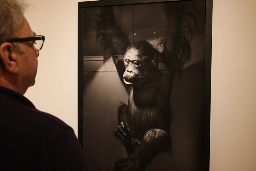 El Centro del 27 de la Diputación presenta \'Todas las cosas del mundo\', una exposición de fotografías y poemas de Ricky Dávila